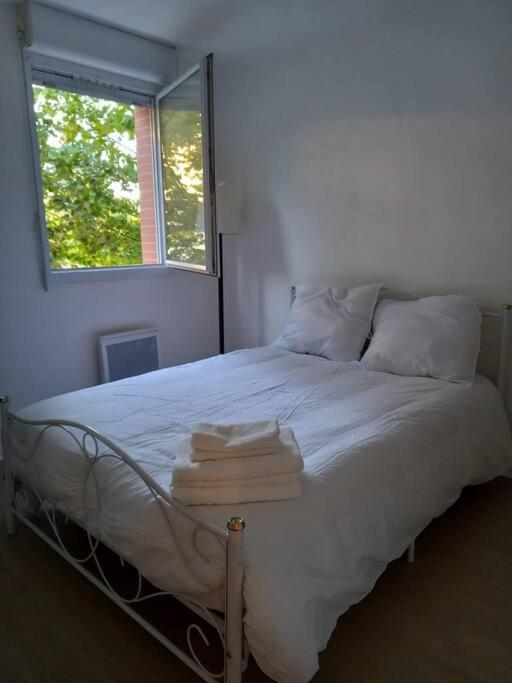 Appartement Cosy Cugnaux Exterior foto